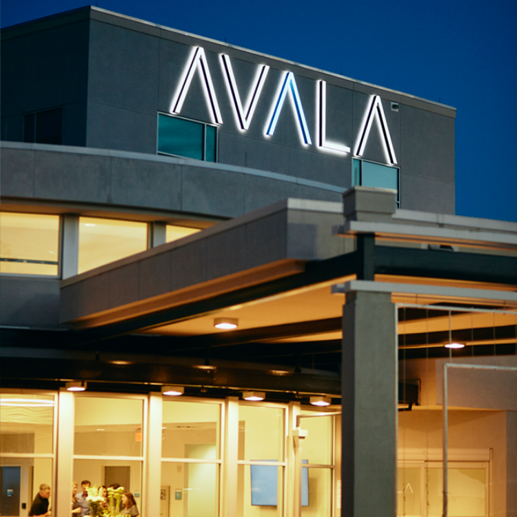 ABOUT AVALA